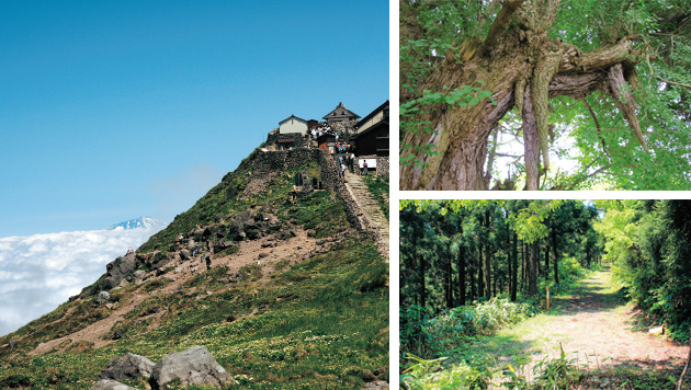 The allure of Shonai Town  Nature